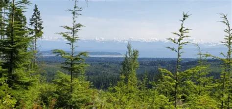 10 Best Trails and Hikes in Comox Valley A | AllTrails