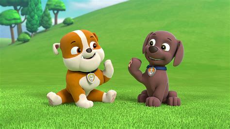 Watch PAW Patrol Season 3 Episode 6: Pups Save Friendship Day - Full ...