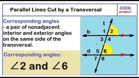 If Two Parallel Lines Are Cut By Transversal