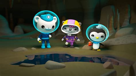 Watch Octonauts & the Caves of Sac Actun | Netflix Official Site