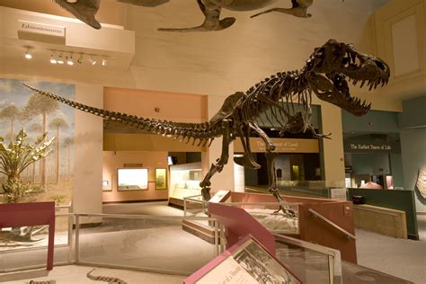 Smithsonian’s National Museum of Natural History to Build New Dinosaur ...