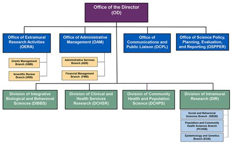 Hospital Nursing Organizational Chart | SexiezPicz Web Porn