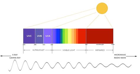 Infrared Color Spectrum