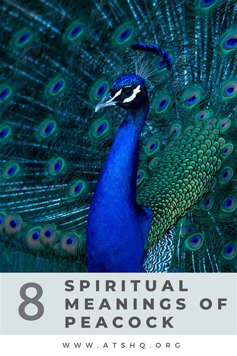 Peacock Symbolism: 8 Spiritual Meanings of Peacock