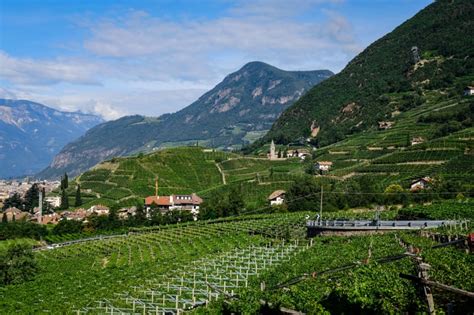 Alto Adige wine: when altitude makes a difference | WINERYLOVERS