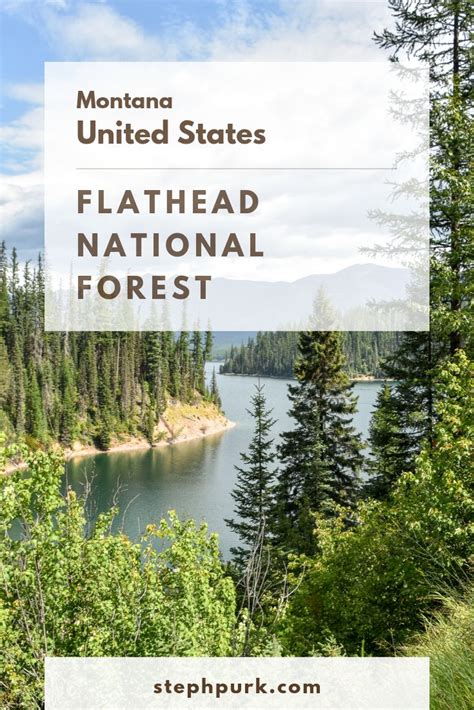 Flathead National Forest | National forest, Hiawatha national forest ...