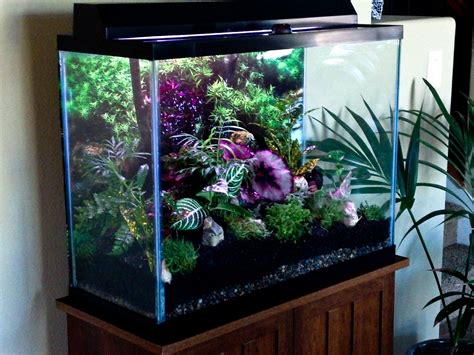 55 Gallon Tank Tall - Din Aquarium Fish