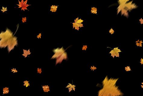 Free Leaf Overlays for Photoshop – 300 Autumn Overlays