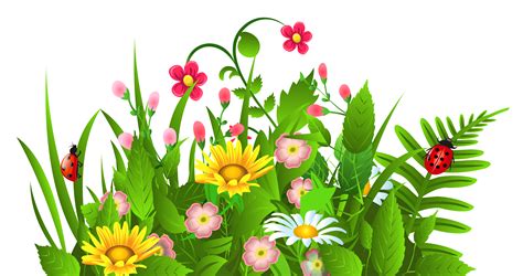 Free Free Flower Clipart Transparent Background, Download Free Free ...