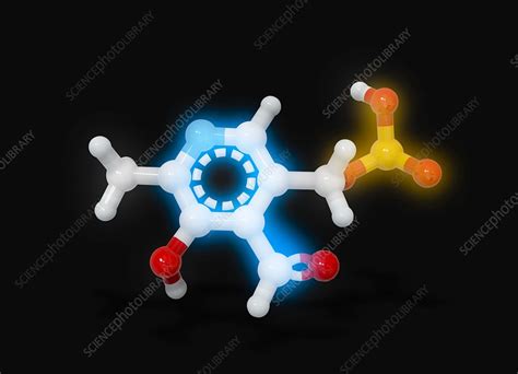 Pyridoxal phosphate molecule - Stock Image - C022/9973 - Science Photo ...