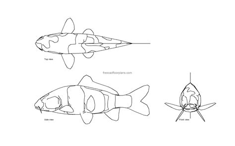 Koi Fish, AutoCAD Block - Free Cad Floor Plans