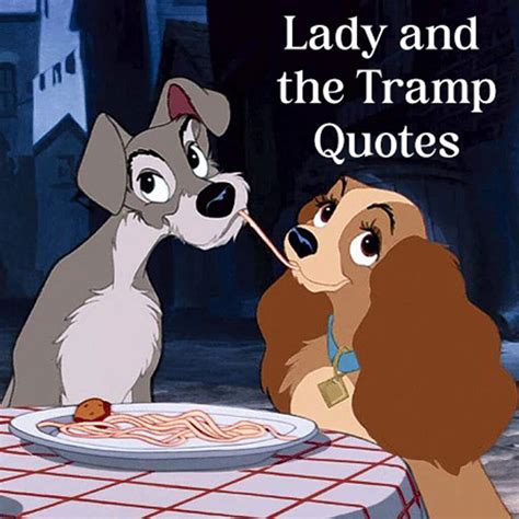 61 Classic Lady and the Tramp Quotes