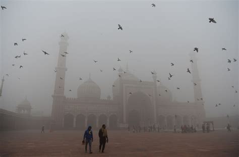 Delhi becomes “gas chamber” as air pollution reaches ludicrous levels ...