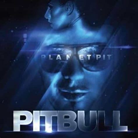 List of All Top Pitbull Albums, Ranked