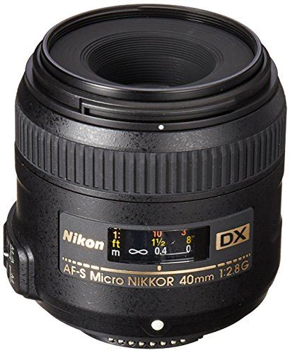 Best Nikon Macro Lenses in 2022 [Top 5 Picks] - CameraGurus