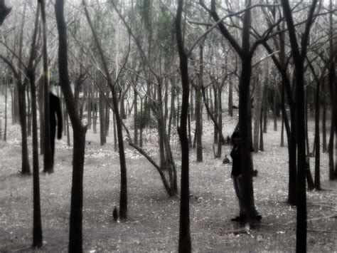 Slenderman in the forest by shizuriiku on DeviantArt