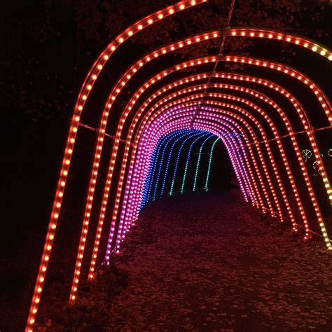 Meadowlark Botanical Gardens Winter Walk of Lights - Adventures in DC