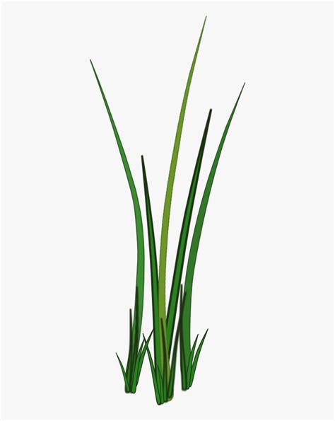 Grass Png Image, Green Grass Png Picture Grass 2d Png Free, 57% OFF