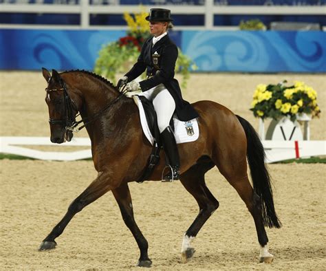 Dressage Horses Germany | Evening Wear