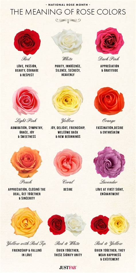 National Rose Month: The Meaning of Rose Colors | Rose color meanings ...