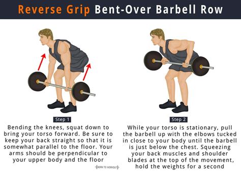 Reverse Grip Barbell Row: How to do, Benefits, Muscles Worked