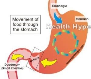 Stomach Churning Sensation (Feeling), Causes, Remedies | Healthhype.com