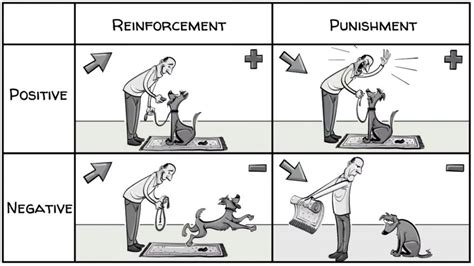 Skinner’s Operant Conditioning: Rewards & Punishments | Sprouts Videos