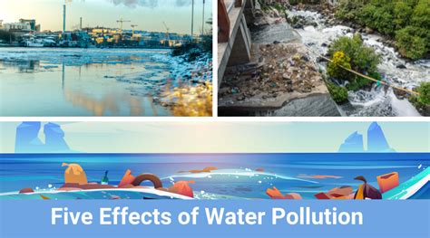 Harmful Effects Of Water Pollution