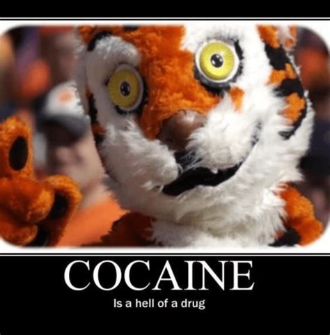 Funny Clemson Mascot Memes | Big 102.1 KYBG-FM