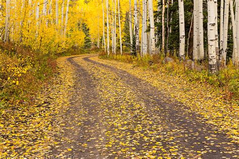 Grand Mesa Fall Colors // ADVENTR.co