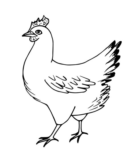 Hand-drawn simple vector sketch with black outline. Poultry, chicken ...