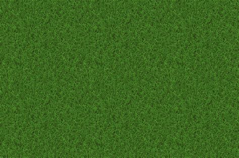 Grass Texture Hd