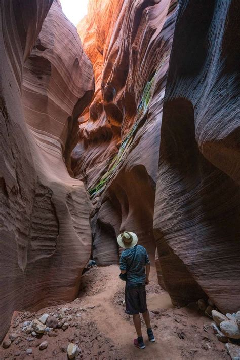 Best Hikes in Utah: 14 Epic Trails for your Bucketlist – MAPPED! | Utah ...