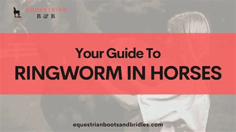 Ringworm in Horses: Your Guide to Prevention & Treatment – Equestrian ...