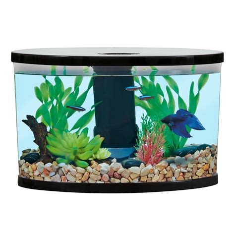 50 Gallon Fish Tank Petsmart - Ape Aquarium Fish