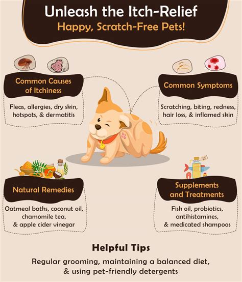 Itchy Pet Awareness Month: Soothing the Scratch - Pet Lovers Diary