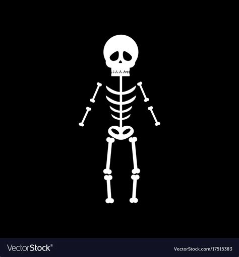 Skeleton halloween Royalty Free Vector Image - VectorStock