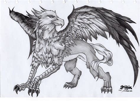 Mythical Griffin Drawing