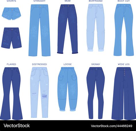 Cutting jeans pants denim pants models types jean Vector Image