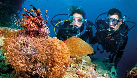 Great Barrier Reef 2019 Outlook Report - Tropical North Queensland