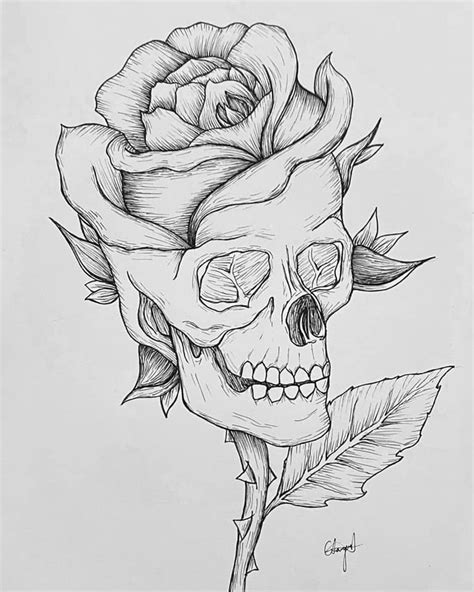 Rose Skull Illustration - Etsy