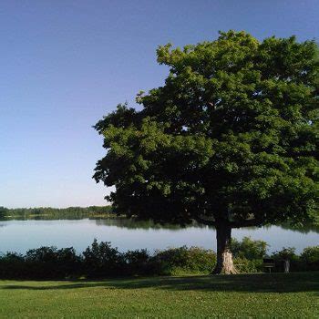 Binbrook Conservation Area - Binbrook | Ontario - 1000 Towns of Canada