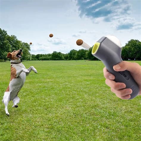 Pet Training Dispenser Toys Dog Interactive Toys – beefygoods