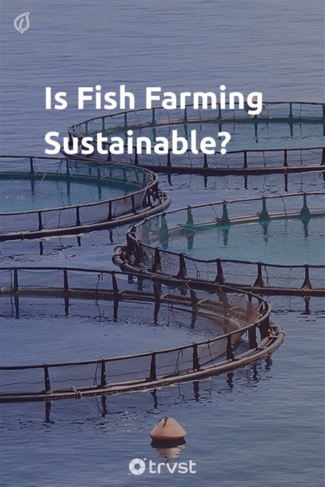 Is Fish Farming Sustainable? All About Eco-Friendly Fish Farming | Fish ...