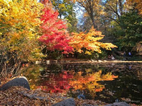 Where to See Spectacular Fall Colors in Southern Oregon