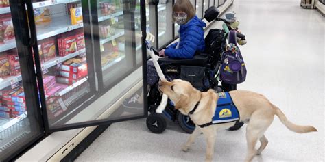 A service dog helps at the grocery store! - Blogger Dog Buffy