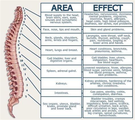 Spinal Nerve Chart - L4, pain in hips, numbness in legs and foot ...