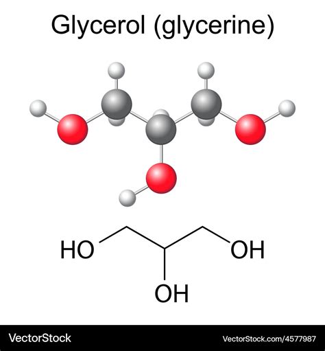 Chemical formula and model glycerol molecule Vector Image