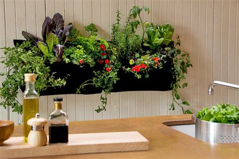 Health & Social Benefits of Indoor Gardening