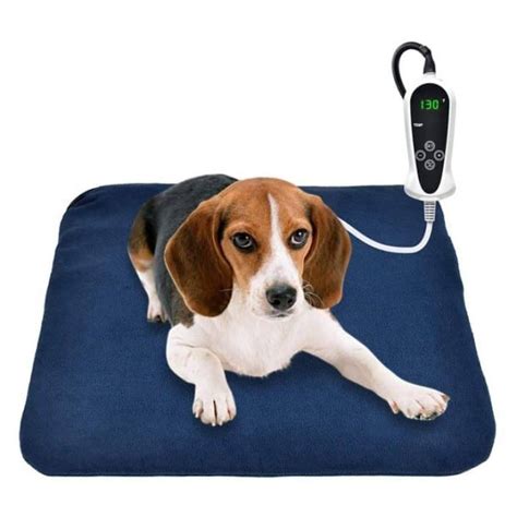 Heated Dog Bed - Suckstobebroke - Accessories for Dog